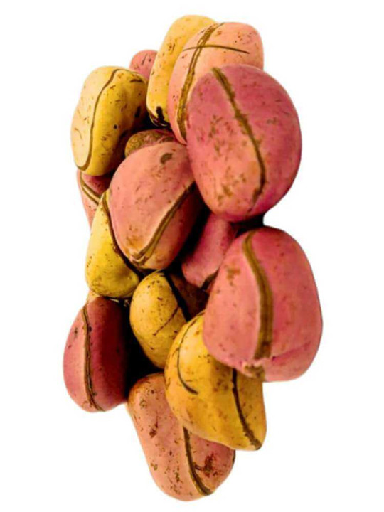 Noix de Kolas (Colas) Naturelles Rouges -  Natural Life - 09 pièces de Colas Fraîches pour lutter contre la Fatigue - Astuces - ARTIAF  LLC