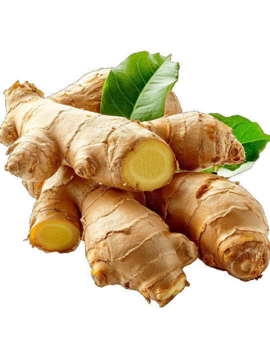 Gingembre Frais Bio - Usage en cuisine et thérapeutique - 250 g - Astuces - ARTIAF  LLC