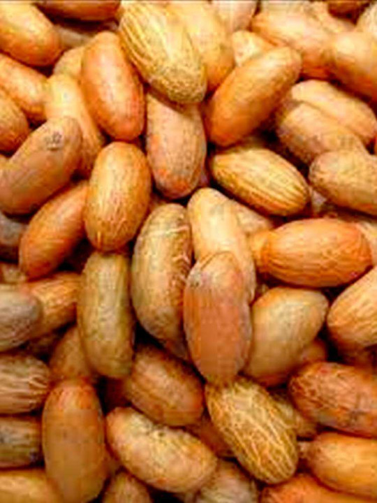 Petit Cola Frais - Natural Life- Sachet de 20 pièces pour combattre la fatigue, améliorer la digestion et renforcer l'immunité - Astuces - ARTIAF  LLC