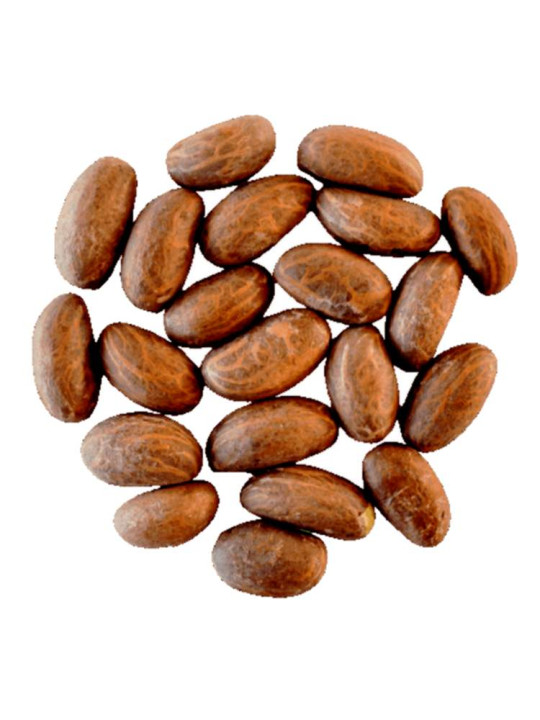 copy of Bitter colas 07 pièces - Tips - ARTIAF  LLC